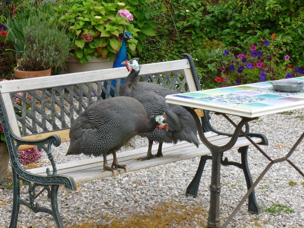 Bed & Breakfast Manoir Francis